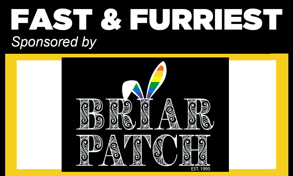 fast_briarpatch.jpg